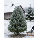 Premium Oxo-Biodegradable Christmas Tree Netting Sleeve - 400m Long, Various Sizes for Secure Tree Transport
