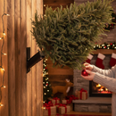 Premium Heavy Duty Wall Mounted Christmas Tree Stand with Water Reservoir and Secure Holder for Fresh Cut Trees