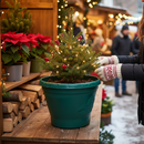 Premium Large Christmas Tree Stand for Real Trees Up to 7ft Tall with Water Reservoir and Festive Design