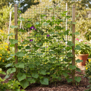 Premium Climbing Plant Support Mesh 50mm x 50mm - Durable HDPE with UV Protection for Garden Use