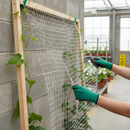 Premium Climbing Plant Support Mesh 50mm x 50mm - White UV Protected Durable HDPE for Garden Use