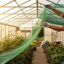 Premium Greenhouse Shading Roll 1m x 50m - Insect Protection and UV Shielding - High-Quality Professional Grade for Industrial and Commercial Appli...