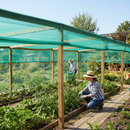 Premium 45% Shade Netting in Green - 50m Roll with UV Additive and Eyelets - High-Quality Professional Grade for Industrial and Commercial Applicat...