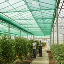 Premium Greenhouse Shading Roll 1m x 50m - Insect Protection and UV Shielding - High-Quality Professional Grade for Industrial and Commercial Appli...