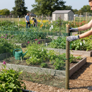 Premium UV Stabilized HDPE Mesh Fence - Square 9mm for Versatile Applications - High-Quality Professional Grade for Industrial and Commercial Appli...