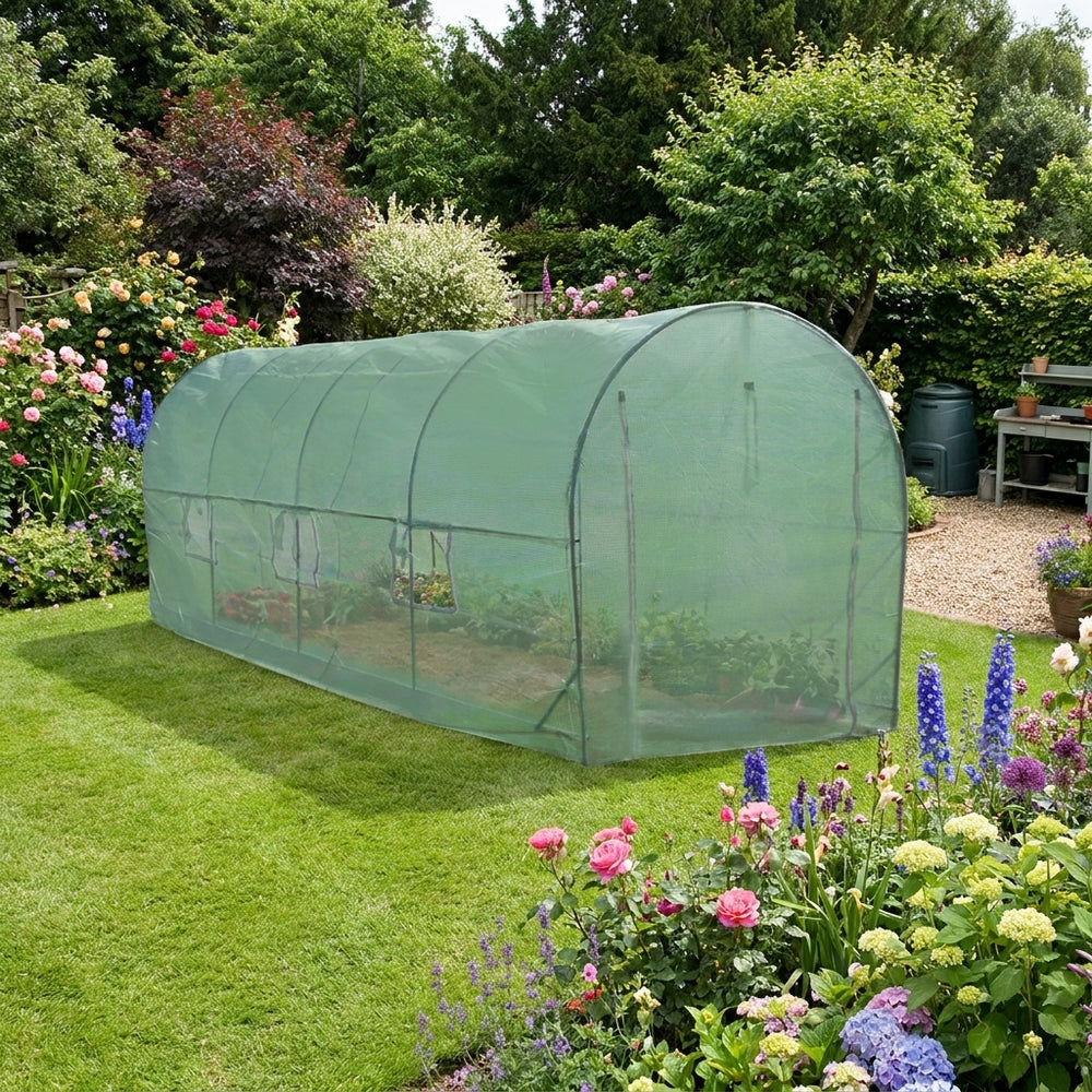 6m x 3m Polytunnel with 25mm Frame for Garden Protection