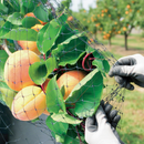 Premium Lightweight Fruit and Cage Protection Netting Mesh for Vegetables and Crops, UV Stabilised, Rot Proof, High Tensile Strength