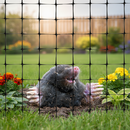 Premium Anti Mole Netting Rolls 200m - Heavy Duty UV Stabilised Mesh for Garden Protection