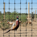 Premium Lightweight Mesh Fencing for Birds and Animals - 100m Roll with High Tensile Strength and UV Stabilisation