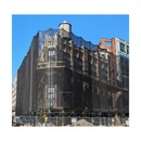 Professional Heavy Duty Debris Netting - 50m Roll, Knitted HDPE for Scaffolding and Garden Protection