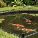 Premium Pond Netting with Large 50mm x 50mm Mesh - 100m Roll for Fish Protection and Debris Prevention
