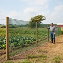 Premium Heavy Duty Extruded Windbreak Fence Mesh 1m High, 45% Wind Reduction in Green for Agricultural and Landscaping Use