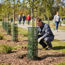 Premium UV Stabilized HDPE Tree Guard Roll for Sapling Protection - 0.6m or 1.2m Height, Available in Green, Black, or Brown