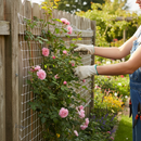 Premium Climbing Plant Support Mesh 50mm x 50mm - White UV Protected Durable HDPE for Garden Use