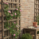 Premium Climbing Plant Support Mesh 50mm x 50mm - Durable HDPE with UV Protection for Garden Use