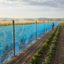 Premium 35% Knitted Windbreak in Blue - 50m Roll with UV Protection for Effective Shade and Wind Reduction