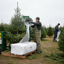 Professional Oxo-Biodegradable Christmas Tree Netting Bale - 2000m Length with Multiple Diameter Options for Secure Tree Wrapping