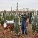 Premium Christmas Tree Netting Starter Kit with Galvanised Funnel and 400m Monofilament Netting - Multiple Sizes Available