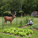 Premium Heavy Duty Deer Fencing Netting 50mm Mesh for Effective Animal Deterrent in Various Heights