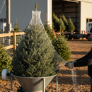 Premium Oxo-Biodegradable Christmas Tree Netting Sleeve - 400m Long, Various Sizes for Secure Tree Transport