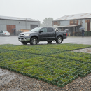 Premium Heavy Duty Interlocking Ground Reinforcement Grid System - Green, 575mm x 380mm x 40mm, Easy Installation, Sustainable Solution