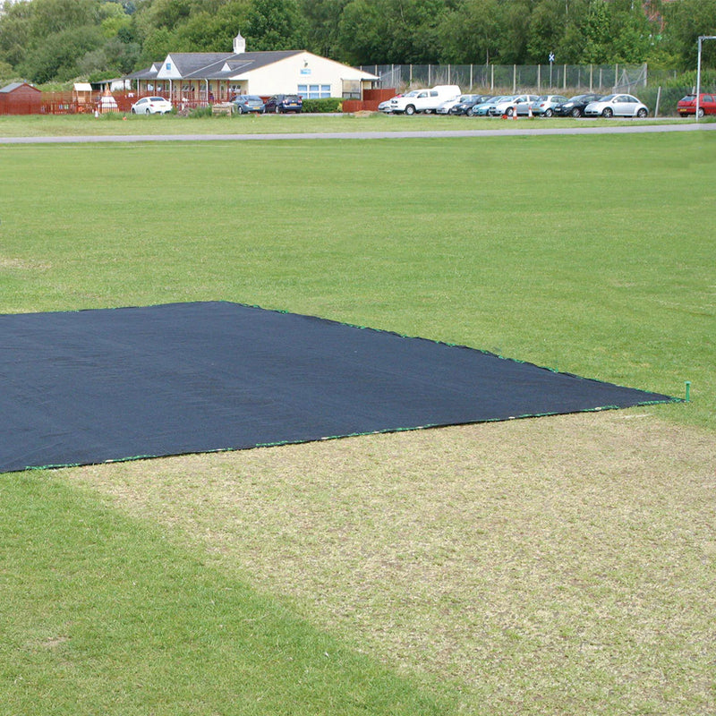 Professional-Grade Germination Sheet for Groundskeepers